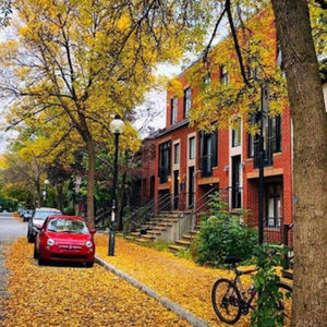 Meet your Posher, Hachaichi